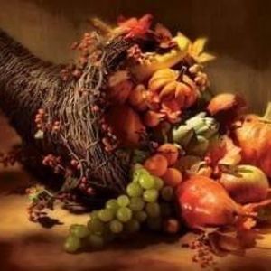 Meet your Posher, Terry